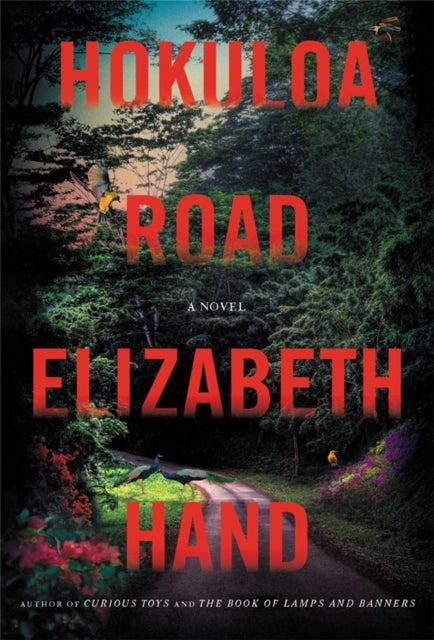 Book cover of: Hokuloa Road. By: Elizabeth Hand