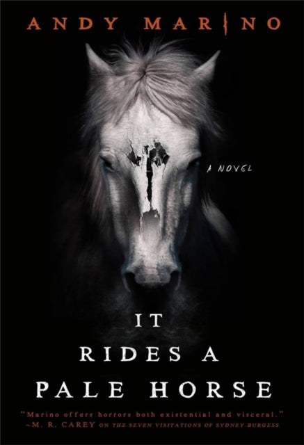 Book cover of: It Rides a Pale Horse. By: Andy Marino