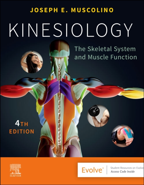 Book cover of: Kinesiology. By: Joseph E. Muscolino DC