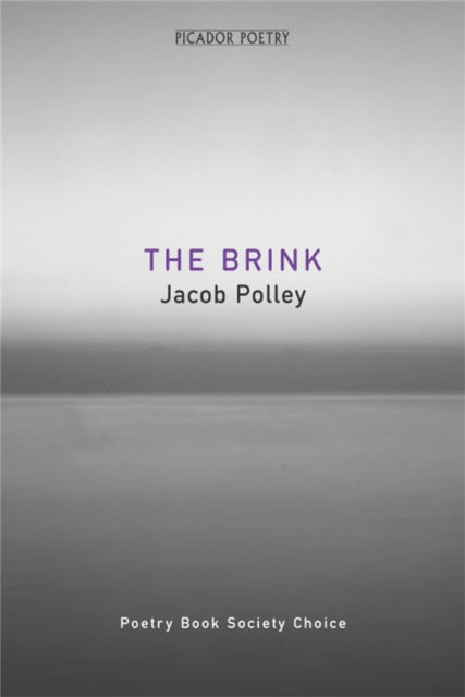 Book cover of: Brink. By: Jacob Polley