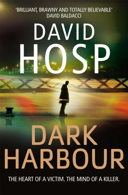 Book cover of: Dark Harbour. By: David Hosp