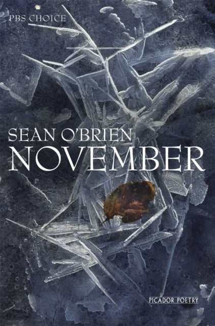 Book cover of: November. By: Sean O'Brien
