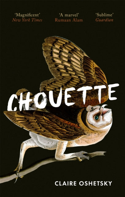 Book cover of: Chouette. By: Claire Oshetsky