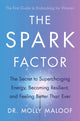 Book cover of: Spark Factor. By: Molly Maloof