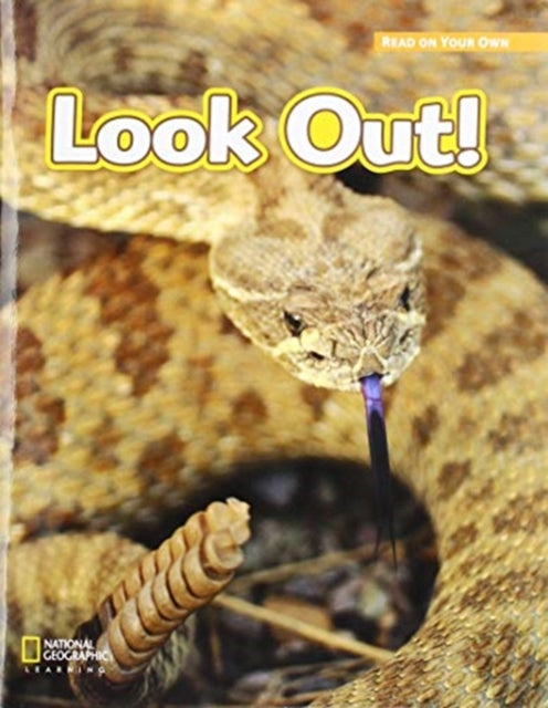Book cover of: ROYO READERS LEVEL B LOOK OUT