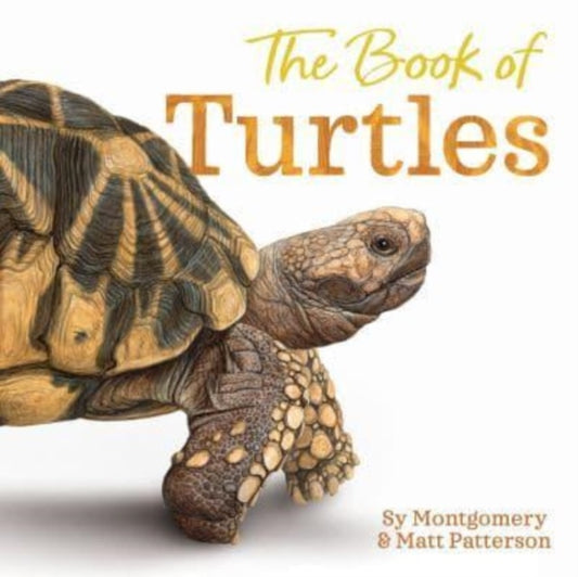 Book cover of: Book of Turtles. By: Sy Montgomery