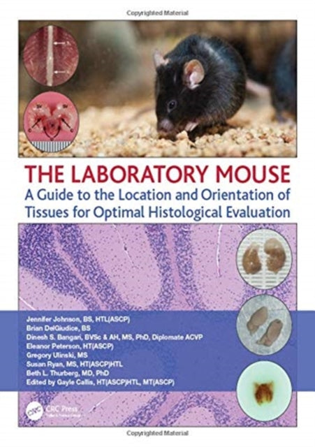 Book cover of: Laboratory Mouse. By: Jennifer Johnson