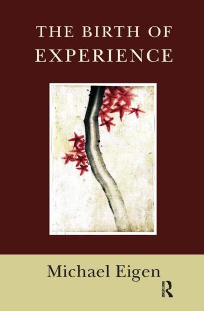 Book cover of: Birth of Experience
