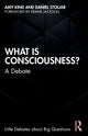 Book cover of: What is Consciousness?. By: Amy Kind