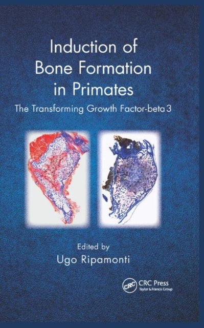 Book cover of: Induction of Bone Formation in Primates. By: Ugo Ripamonti