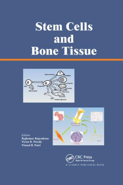 Book cover of: Stem Cells and Bone Tissue. By: Rajkumar Rajendram