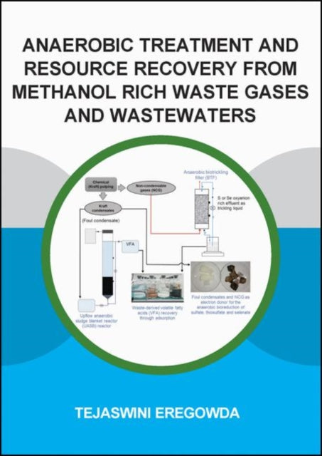 Book cover of: Anaerobic Treatment and Resource Recovery from Methanol Rich Waste Gases and Wastewaters. By: Tejaswini Eregowda