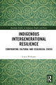 Book cover of: Indigenous Intergenerational Resilience. By: Lewis Williams