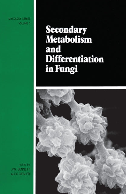 Book cover of: Secondary Metabolism and Differentiation in Fungi. By: J. W. Bennett