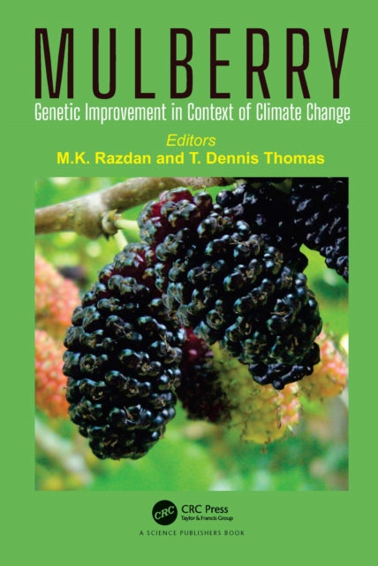 Book cover of: Mulberry. By: M. K. Razdan