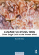 Book cover of: Cognitive Evolution. By: David B. Boles