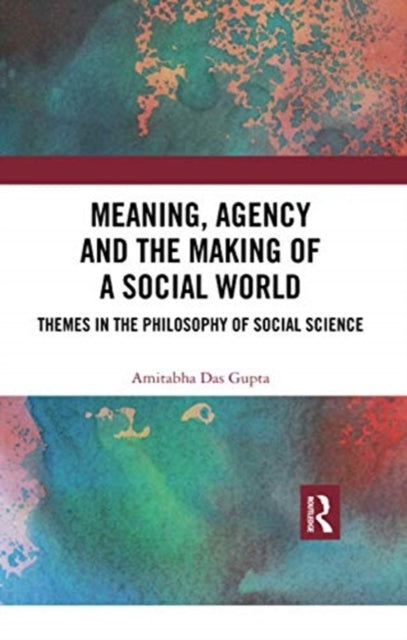Book cover of: Meaning, Agency and the Making of a Social World. By: Amitabha Das Gupta