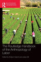 Book cover of: Routledge Handbook of the Anthropology of Labor. By: Sharryn Kasmir