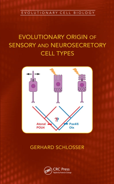 Book cover of: Evolutionary Origin of Sensory and Neurosecretory Cell Types. By: Gerhard Schlosser