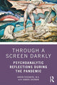 Book cover of: Through a Screen Darkly. By: Ahron Friedberg