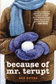 Book cover of: Because of Mr. Terupt