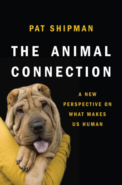 Book cover of: Animal Connection. By: Pat Shipman