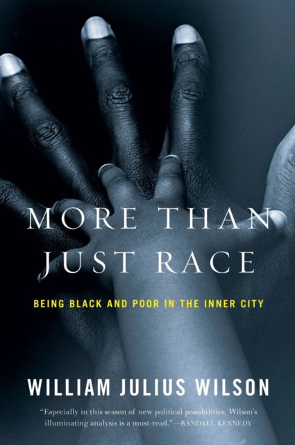 Book cover of: More than Just Race
