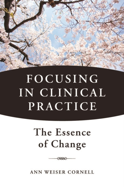 Book cover of: Focusing in Clinical Practice