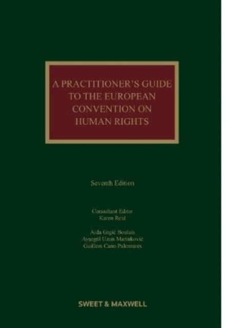 Book cover of: Practitioner's Guide to the European Convention on Human Rights