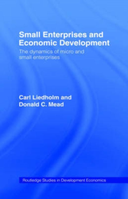 Book cover of: Small Enterprises and Economic Development