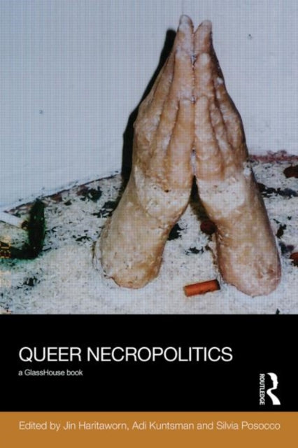 Book cover of: Queer Necropolitics