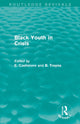 Book cover of: Black Youth in Crisis (Routledge Revivals). By: E. Cashmore