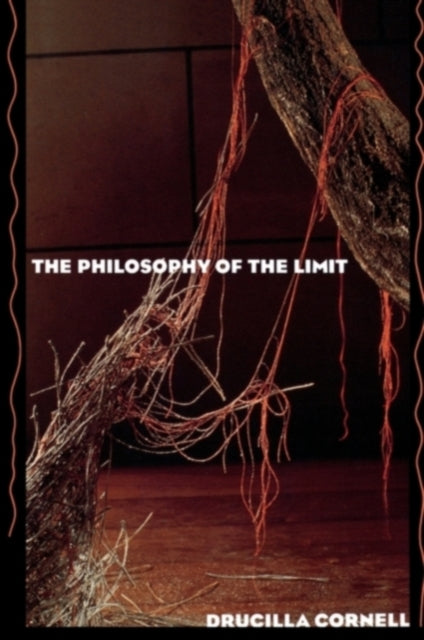 Book cover of: Philosophy of the Limit