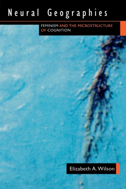 Book cover of: Neural Geographies