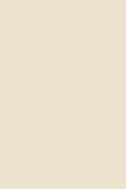 Book cover of: Village, Market and Well-Being. By: Tamara Perkins