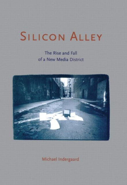 Book cover of: Silicon Alley. By: Mich Indergaard