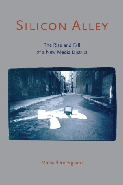 Book cover of: Silicon Alley. By: Mich Indergaard