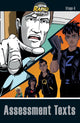 Book cover of: RapidPlus Assessment Book Stage 4