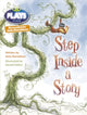 Book cover of: Bug Club Julia Donaldson Plays Brown/3C-3B Step Inside a Story