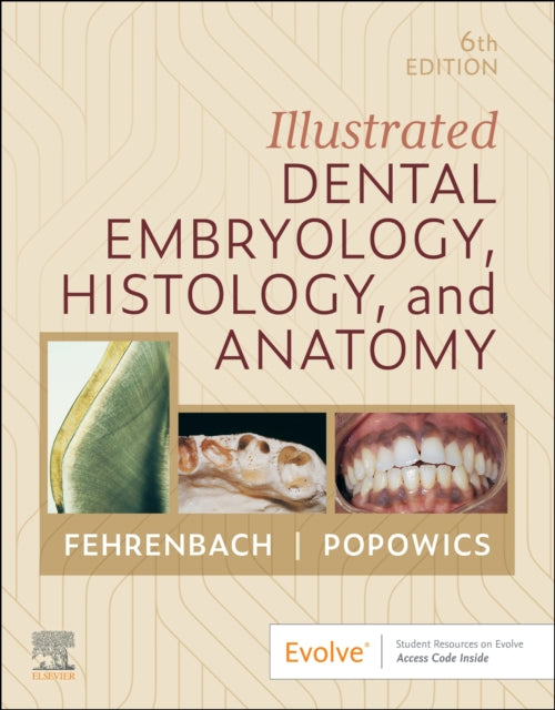 Book cover of: Illustrated Dental Embryology, Histology, and Anatomy. By: Margaret J. Fehrenbach