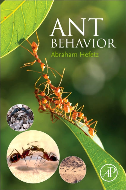 Book cover of: Ant Behavior