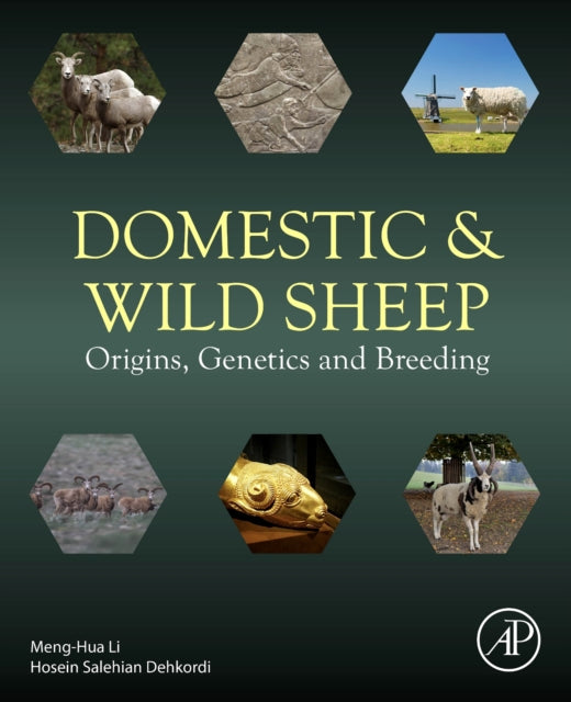 Book cover of: Domestic and Wild Sheep. By: Menghua Li