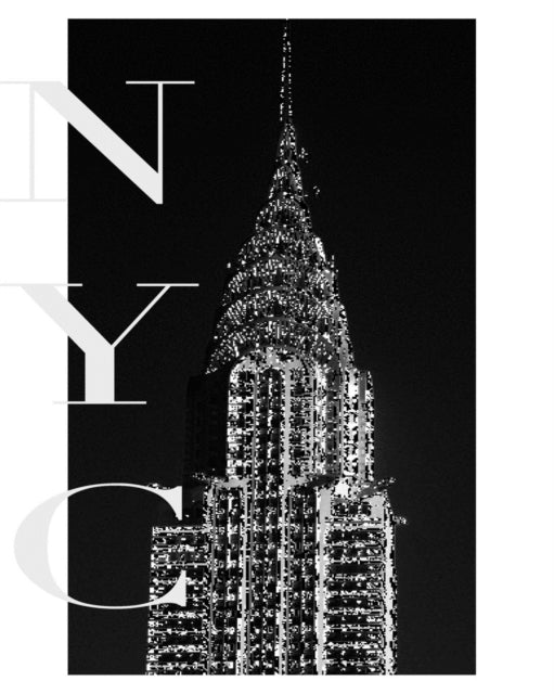 Book cover of: New York City Journal. By: Michael Huhn