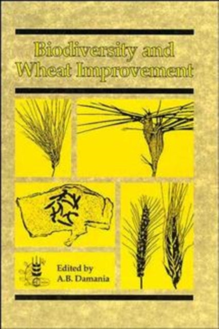Book cover of: Biodiversity and Wheat Improvement. By: A. B. Damania