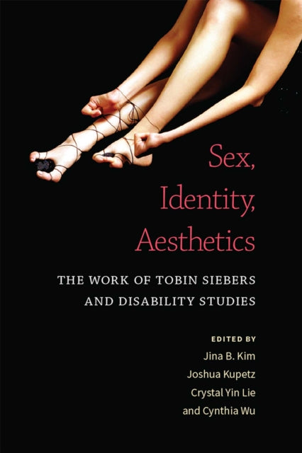 Book cover of: Sex, Identity, Aesthetics. By: Jina B. Kim