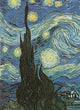 Book cover of: Van Gogh's Starry Night Notebook