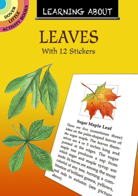 Book cover of: Learning About Leaves. By: Dot Barlowe