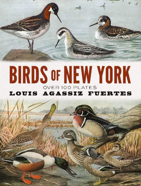 Book cover of: Birds of New York. By: Louis Agassiz Fuertes