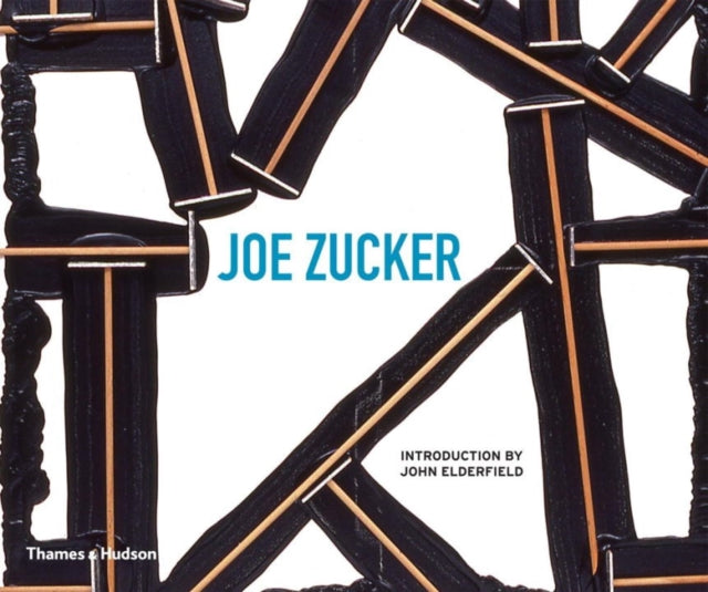 Book cover of: Joe Zucker. By: John Elderfield