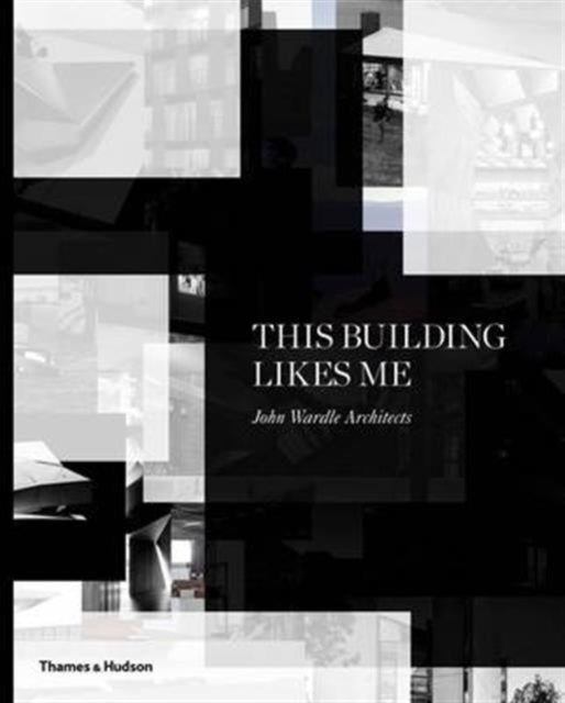 Book cover of: This Building Likes Me